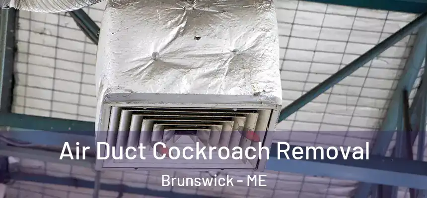 Air Duct Cockroach Removal Brunswick - ME