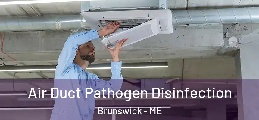 Air Duct Pathogen Disinfection Brunswick - ME