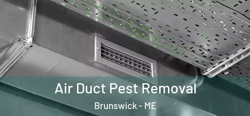 Air Duct Pest Removal Brunswick - ME