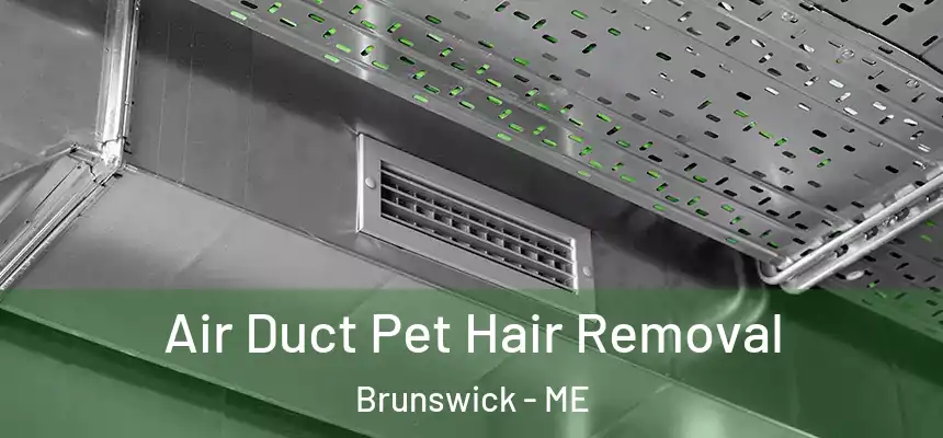  Air Duct Pet Hair Removal Brunswick - ME