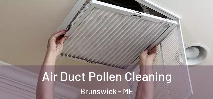Air Duct Pollen Cleaning Brunswick - ME