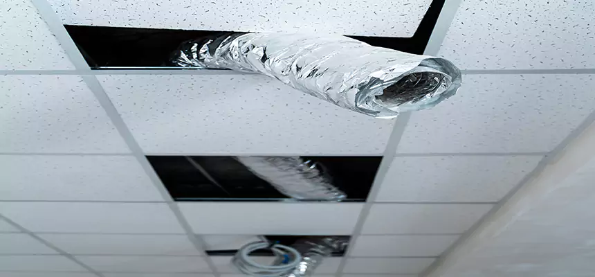 Affordable HVAC Sanitizing After Pest Removal in Brunswick