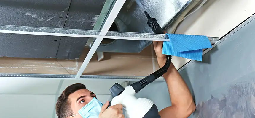 Our Air Duct Rodent Removal Services in Brunswick, ME