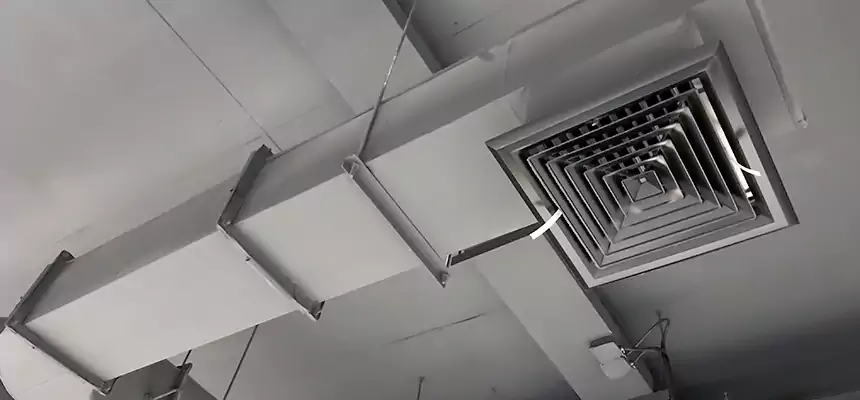 Our Pest Removal From Ducts Services in Brunswick, ME