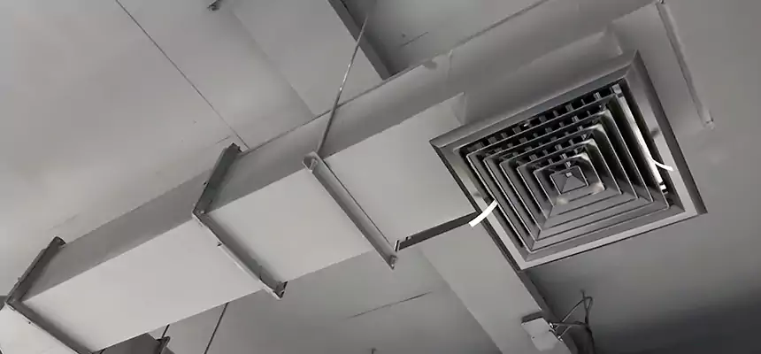 Our Rodent Droppings In Vents Services in Brunswick, ME