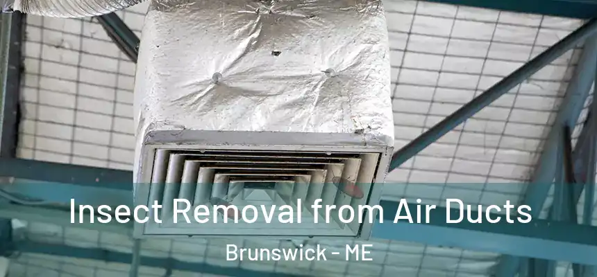 Insect Removal from Air Ducts Brunswick - ME