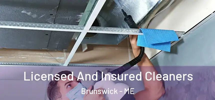 Licensed And Insured Cleaners Brunswick - ME