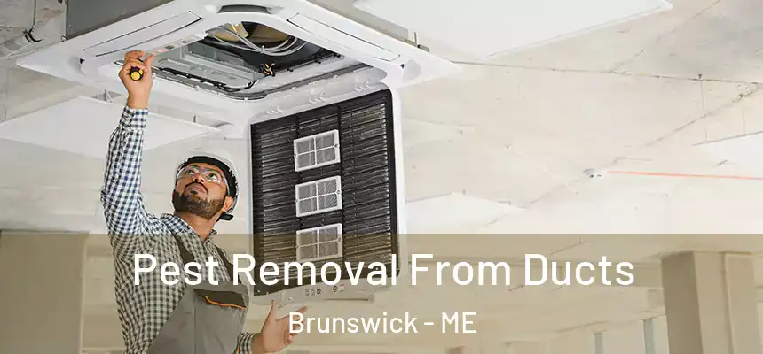 Pest Removal From Ducts Brunswick - ME