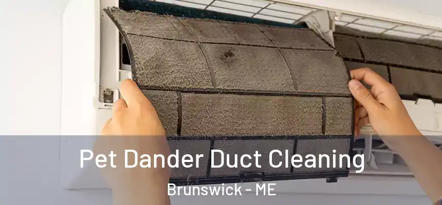  Pet Dander Duct Cleaning Brunswick - ME