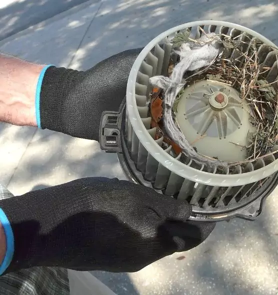 About Air Duct Mice Removal in Brunswick, ME