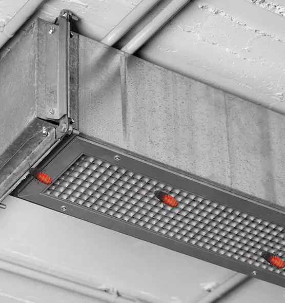 Affordable Insect Removal from Air Ducts in Brunswick, ME