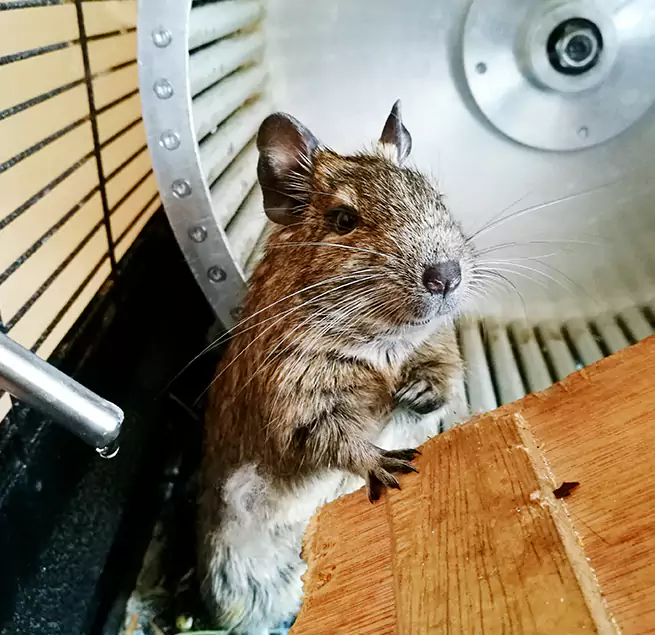 Why Homeowners & Businesses Trust Us Brunswick, ME