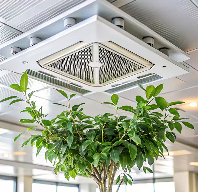 Why Homeowners & Businesses Trust Us in Brunswick, ME?