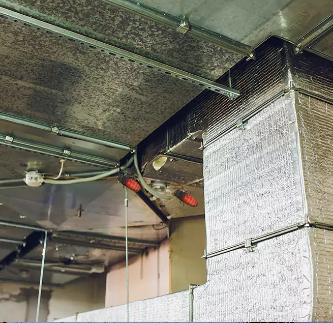 Why Homeowners & Businesses Trust Us Brunswick, ME?